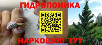 соль ск Комсомольск-на-Амуре
