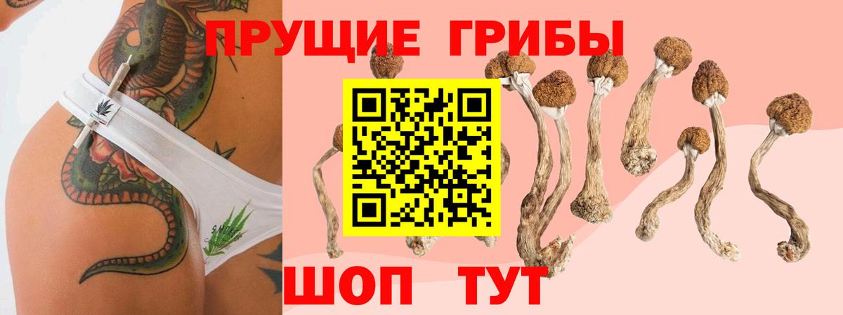 Псилоцибиновые грибы MAGIC MUSHROOMS Коряжма
